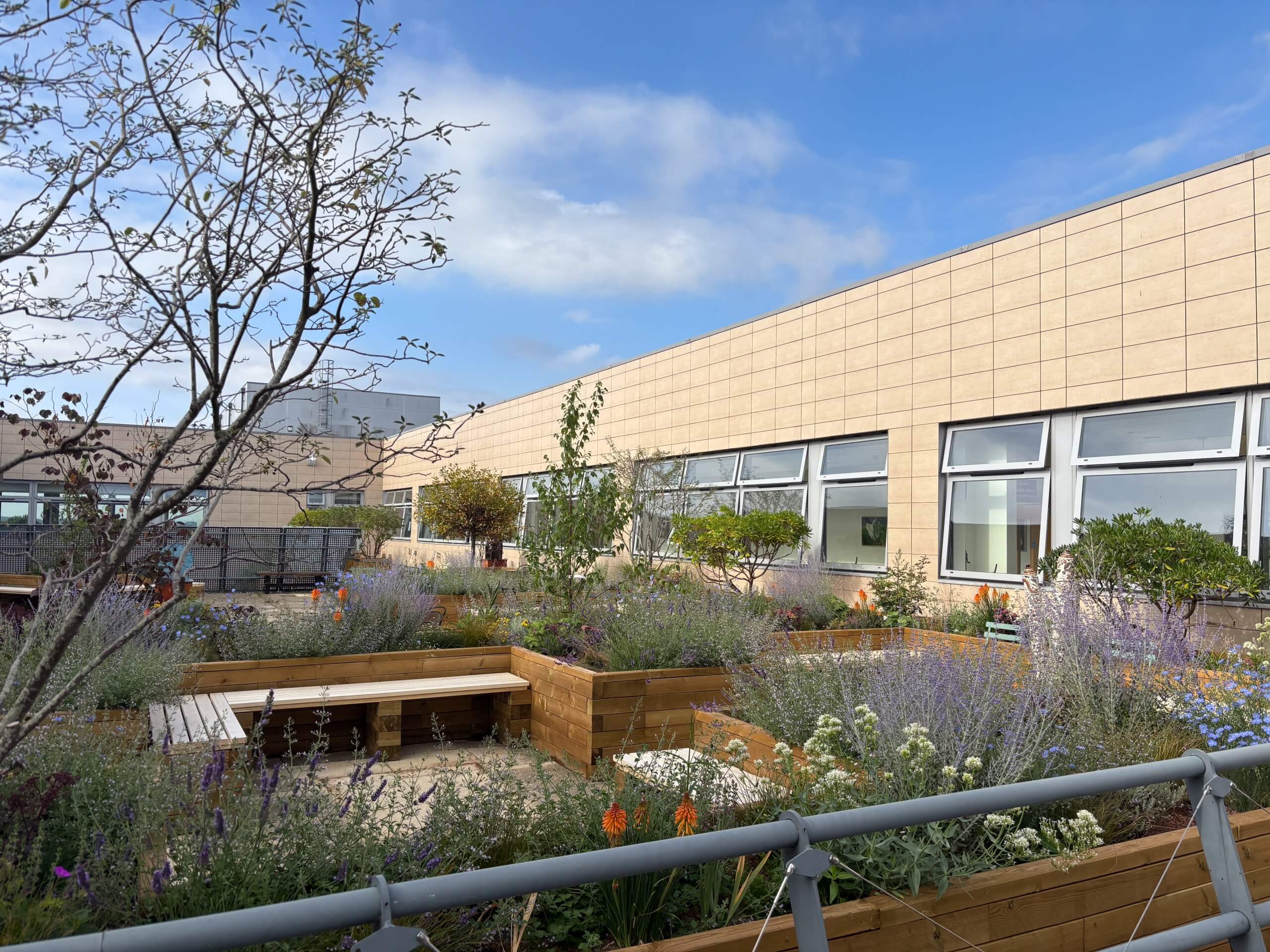 View of garden from fire pit